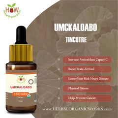 UMCKALOABO
