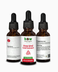Uva Ursi Leaf Extract – Herbal Support for Urinary Balance