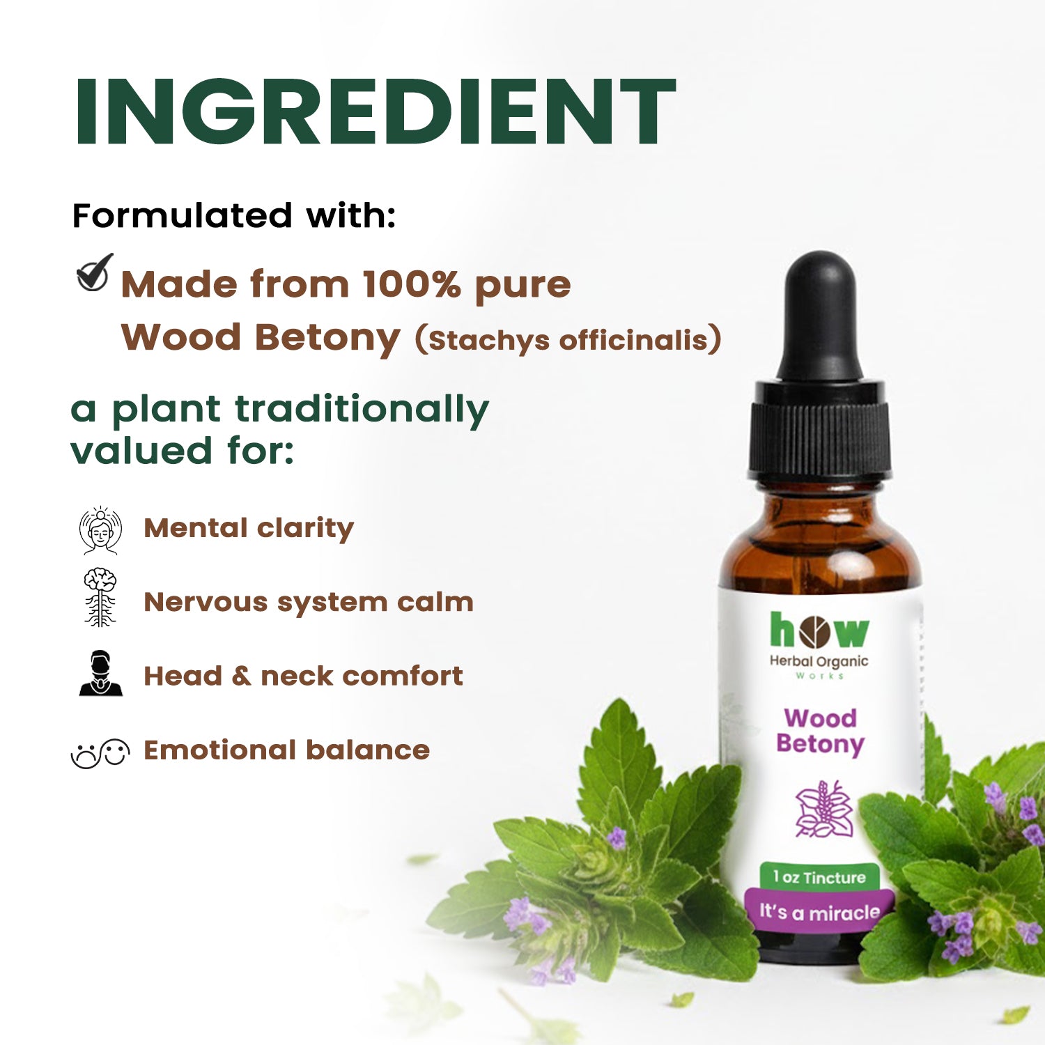Wood Betony Extract Ingredients