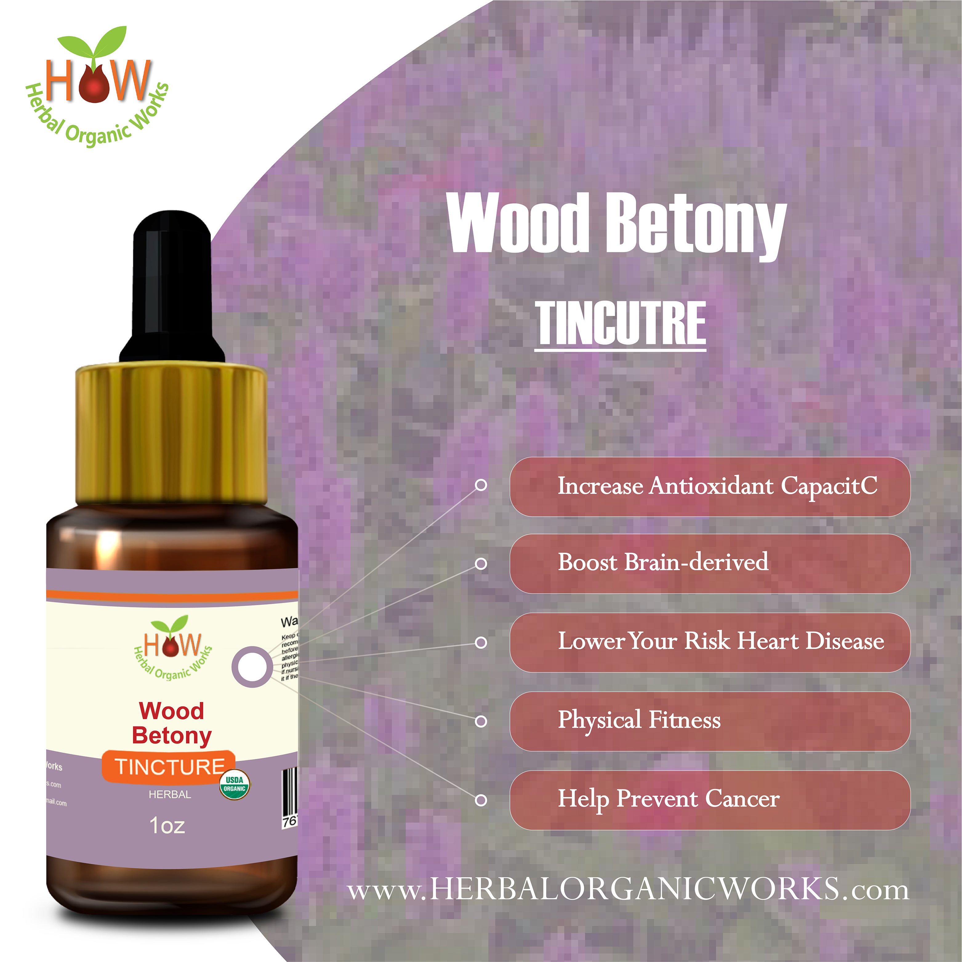 WOOD BETONY