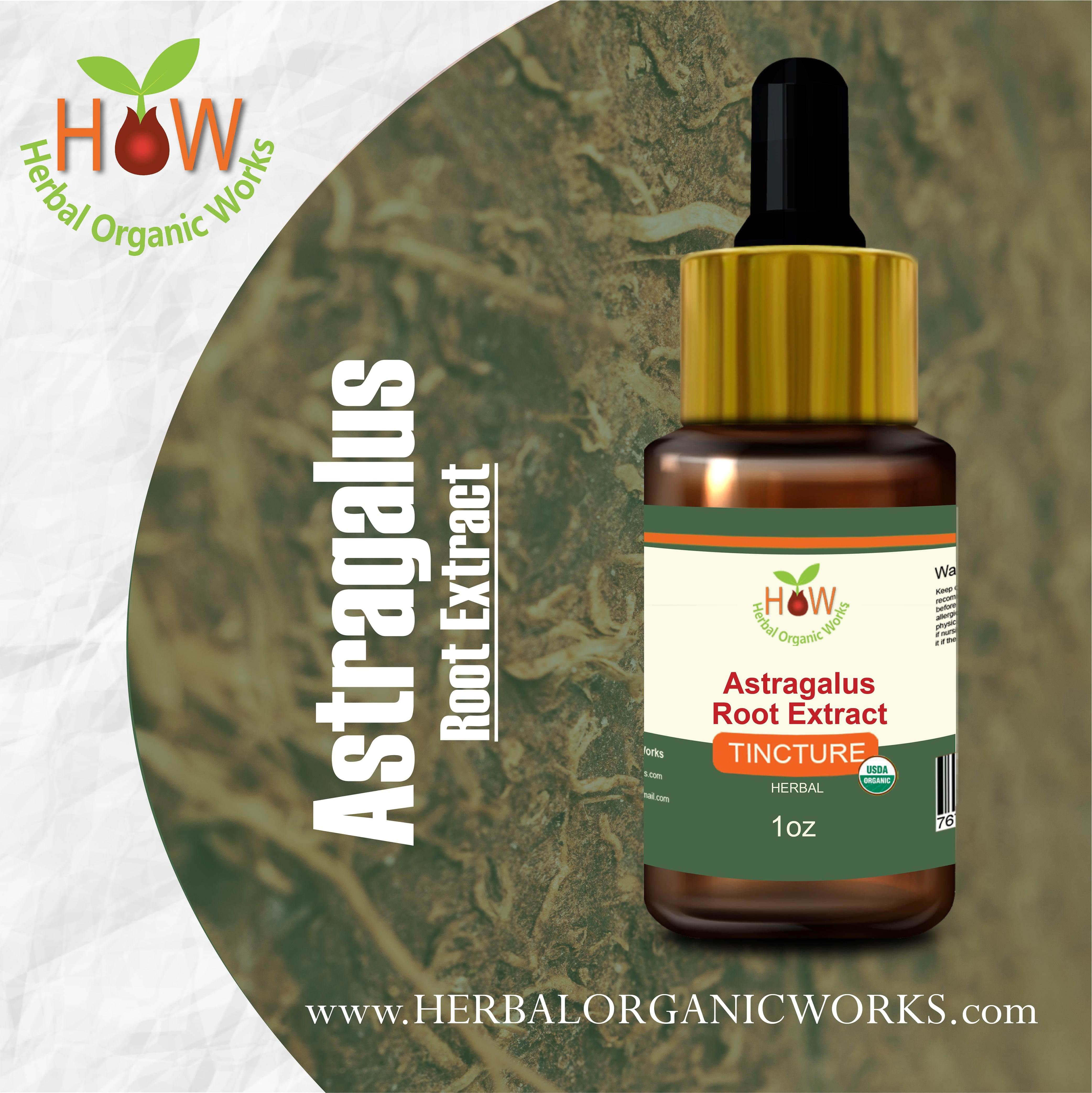 Astragalus
