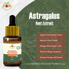 Astragalus