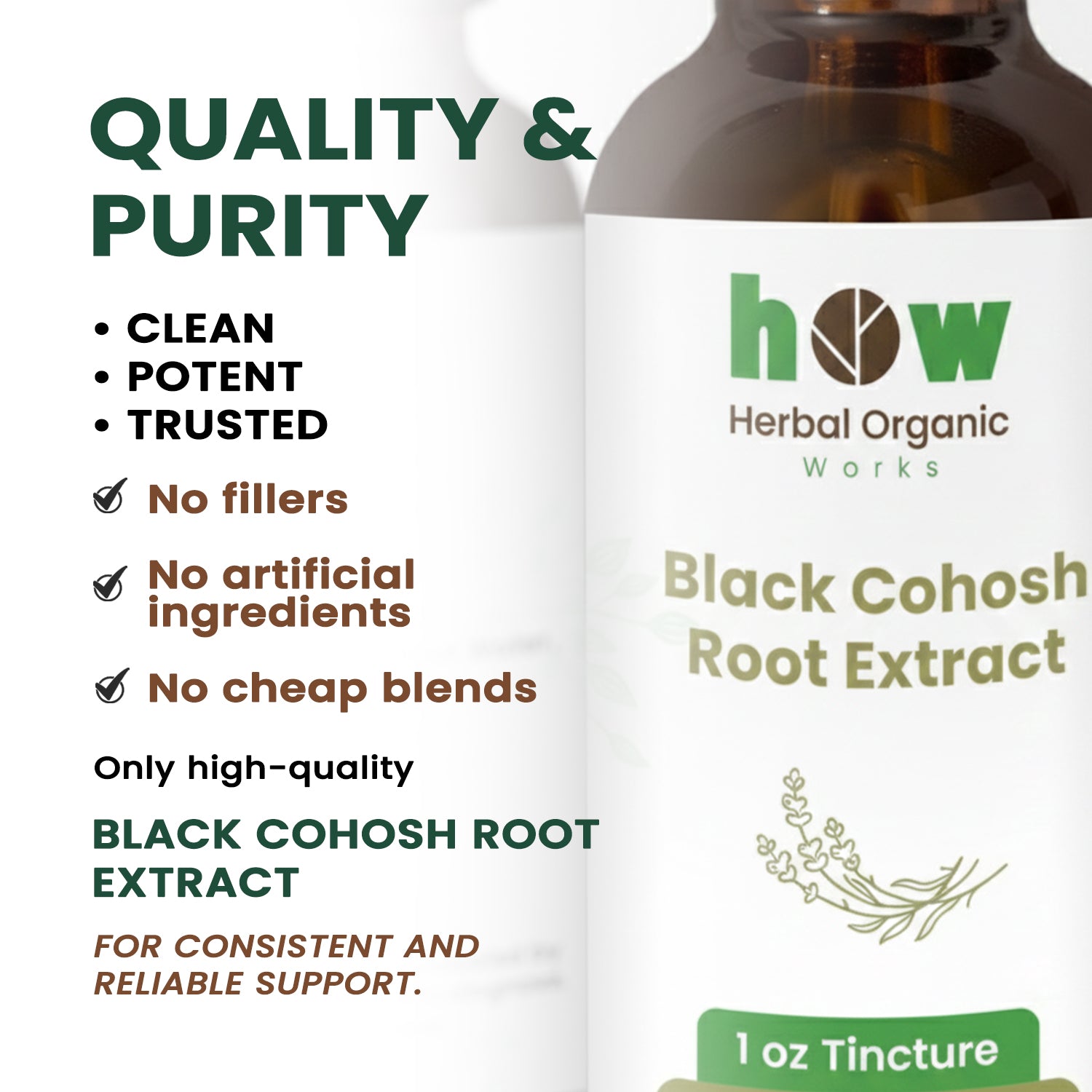 black cohosh extract quality