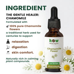 chamomile extract ingredients