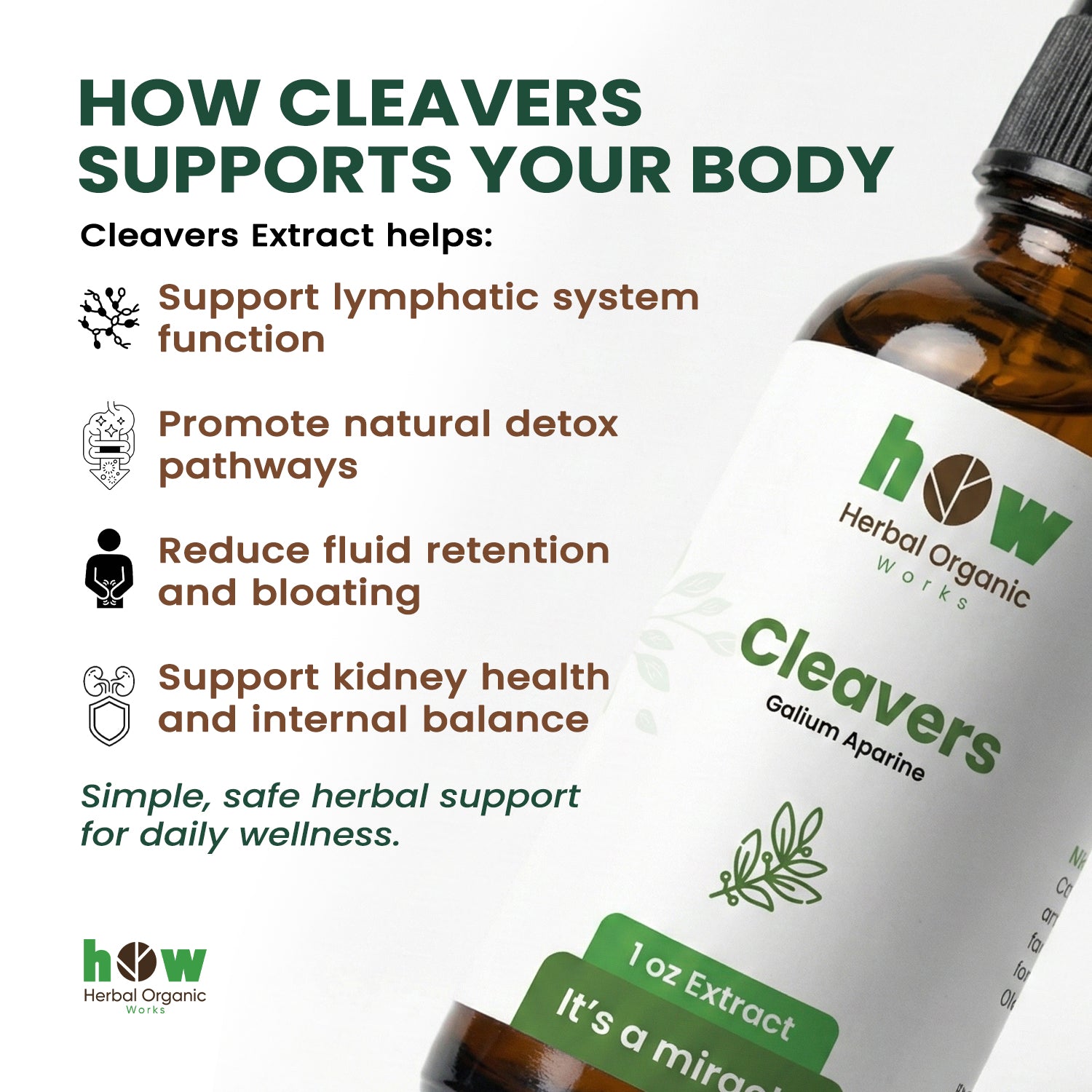 cleavers extract for body support
