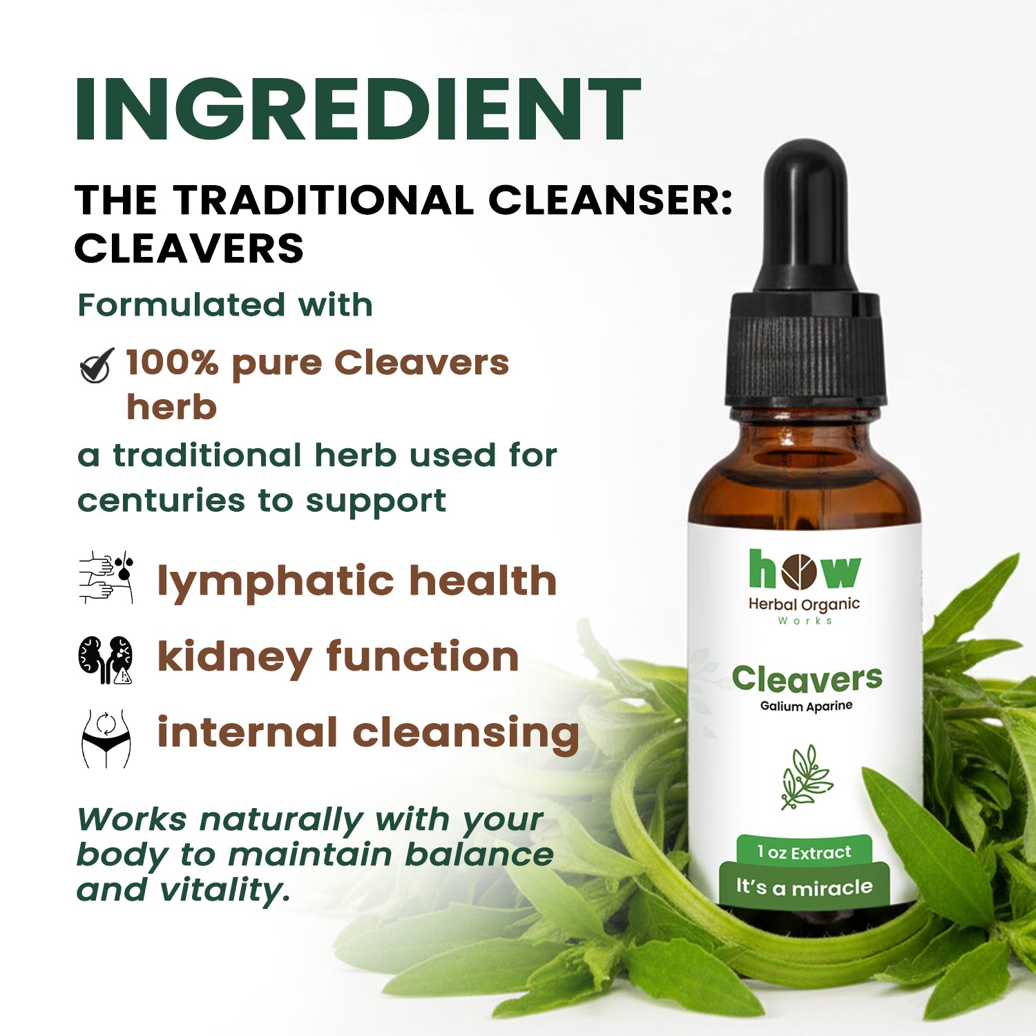 cleavers extract ingredients