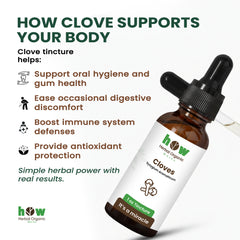 Clove tincture supports your body
