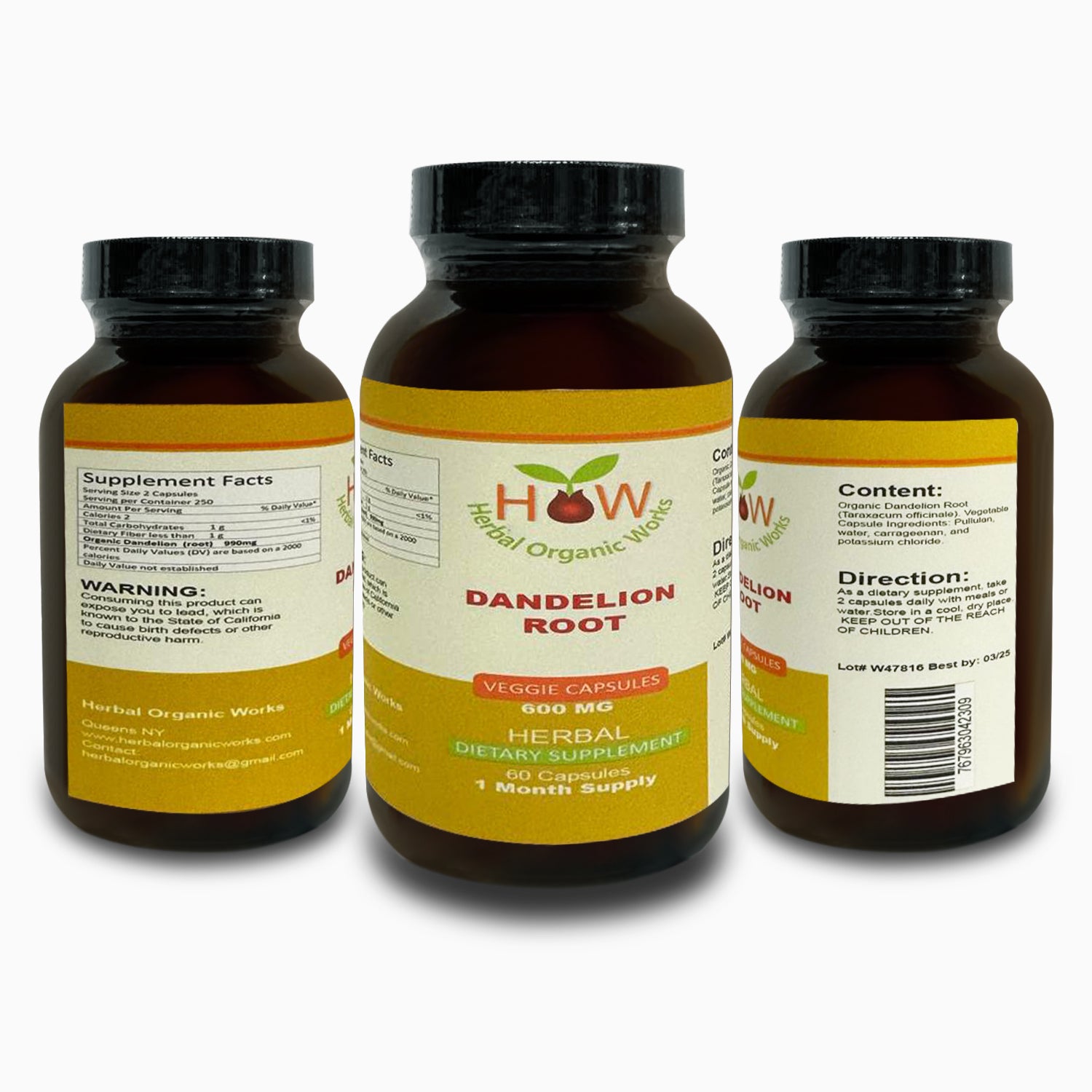 Dandelion Root | Reducing Cholesterol