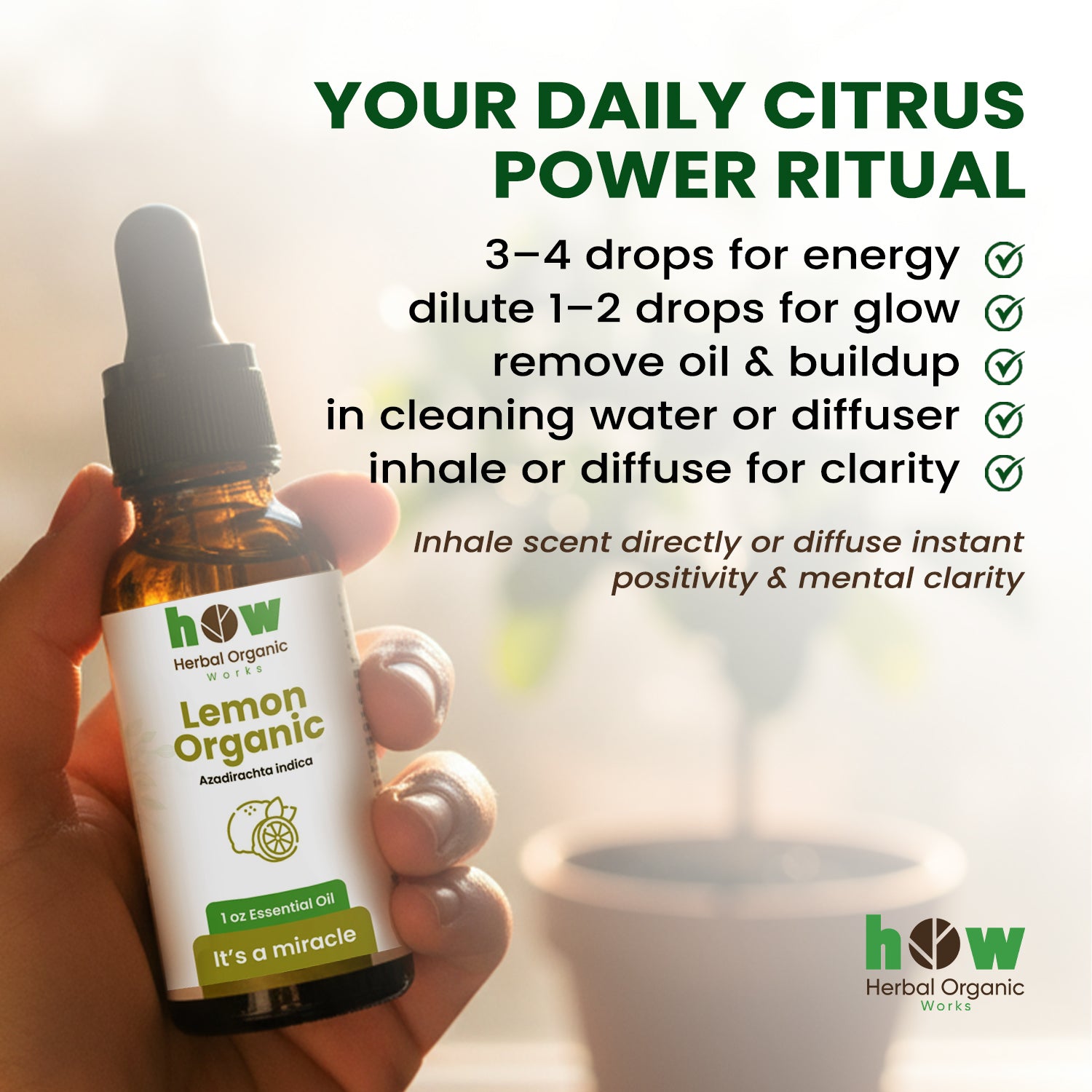 lemon organic oil suggestion