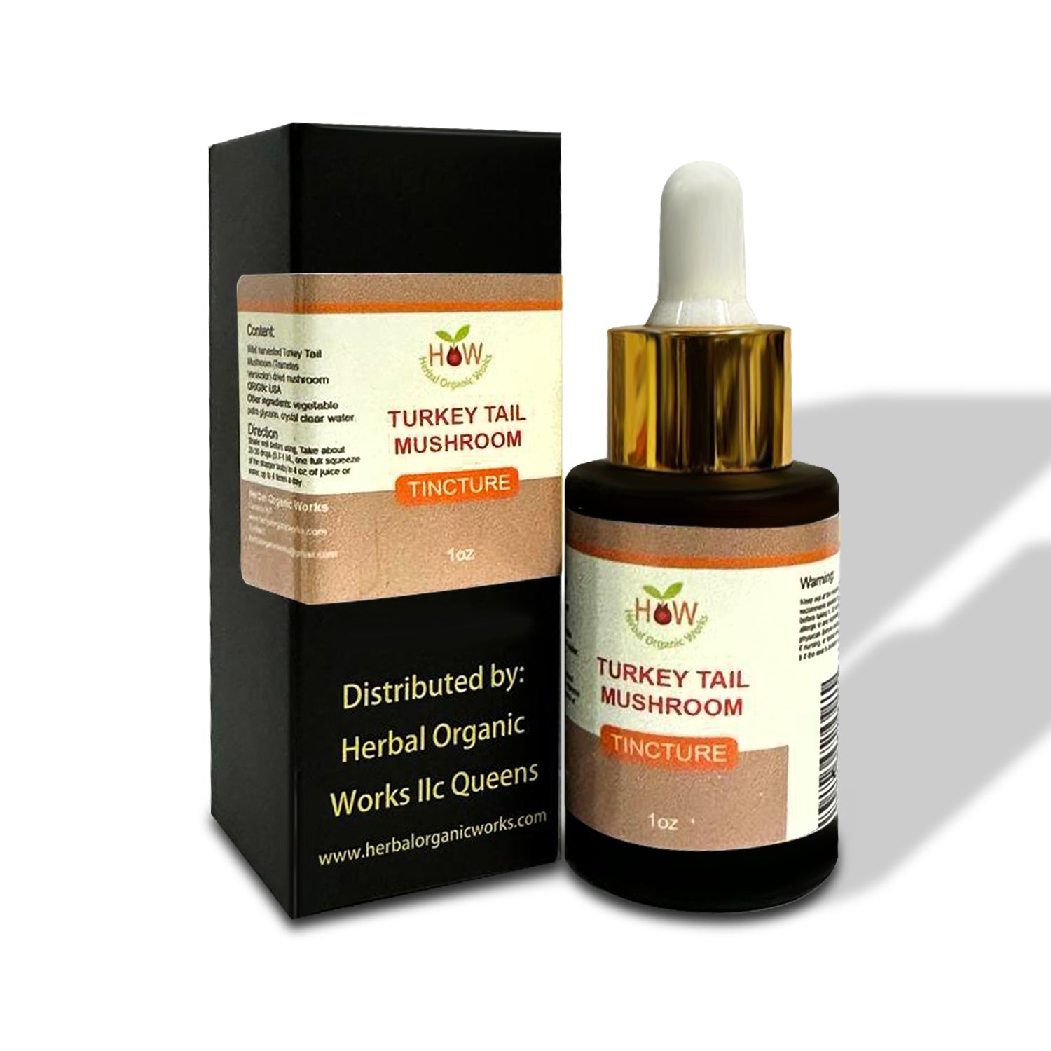 TURKEY TAIL MUSHROOM