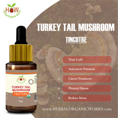 TURKEY TAIL MUSHROOM