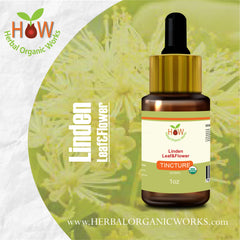 Linden Leaf & Flower