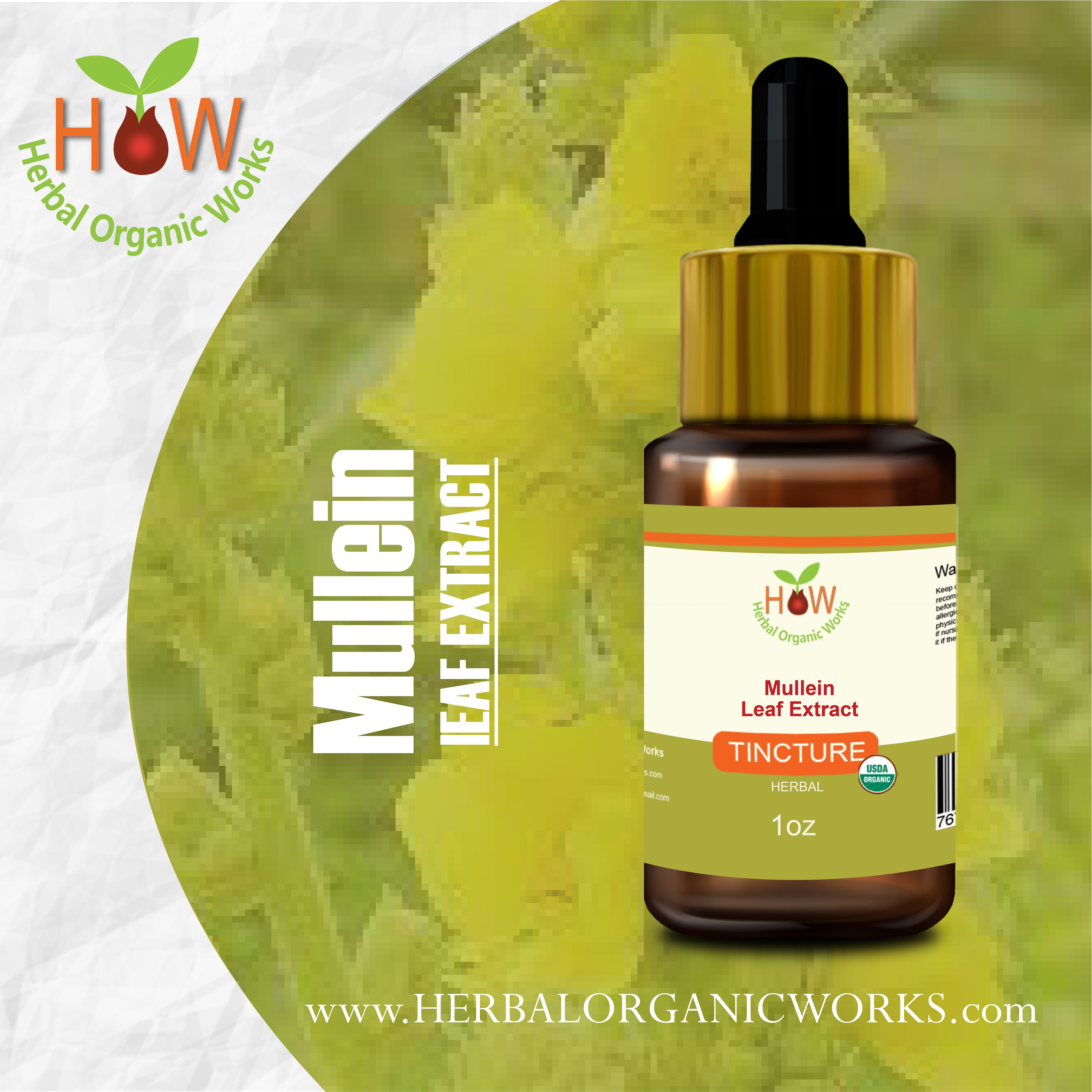 Mullein Leaf Extract