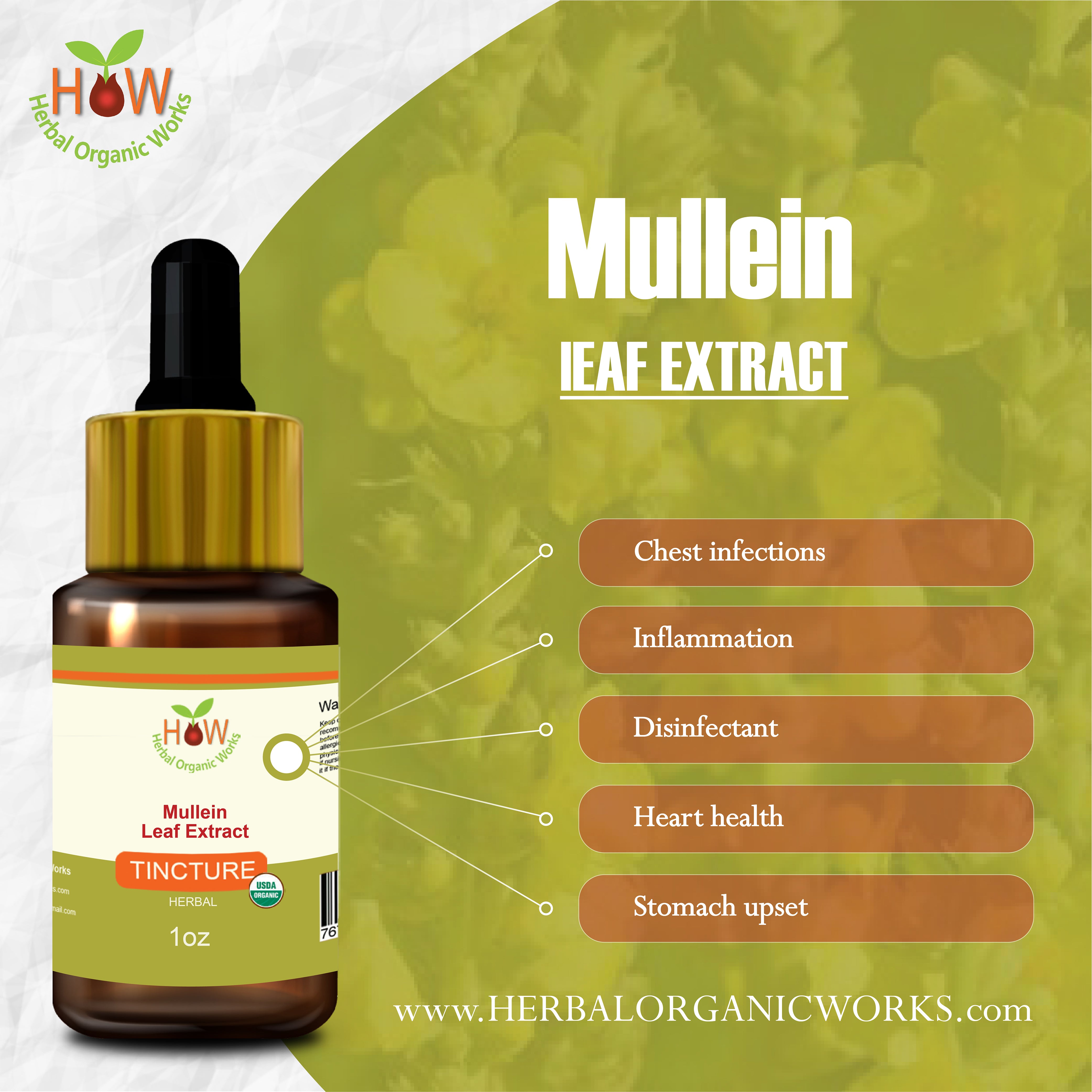 Mullein Leaf Extract