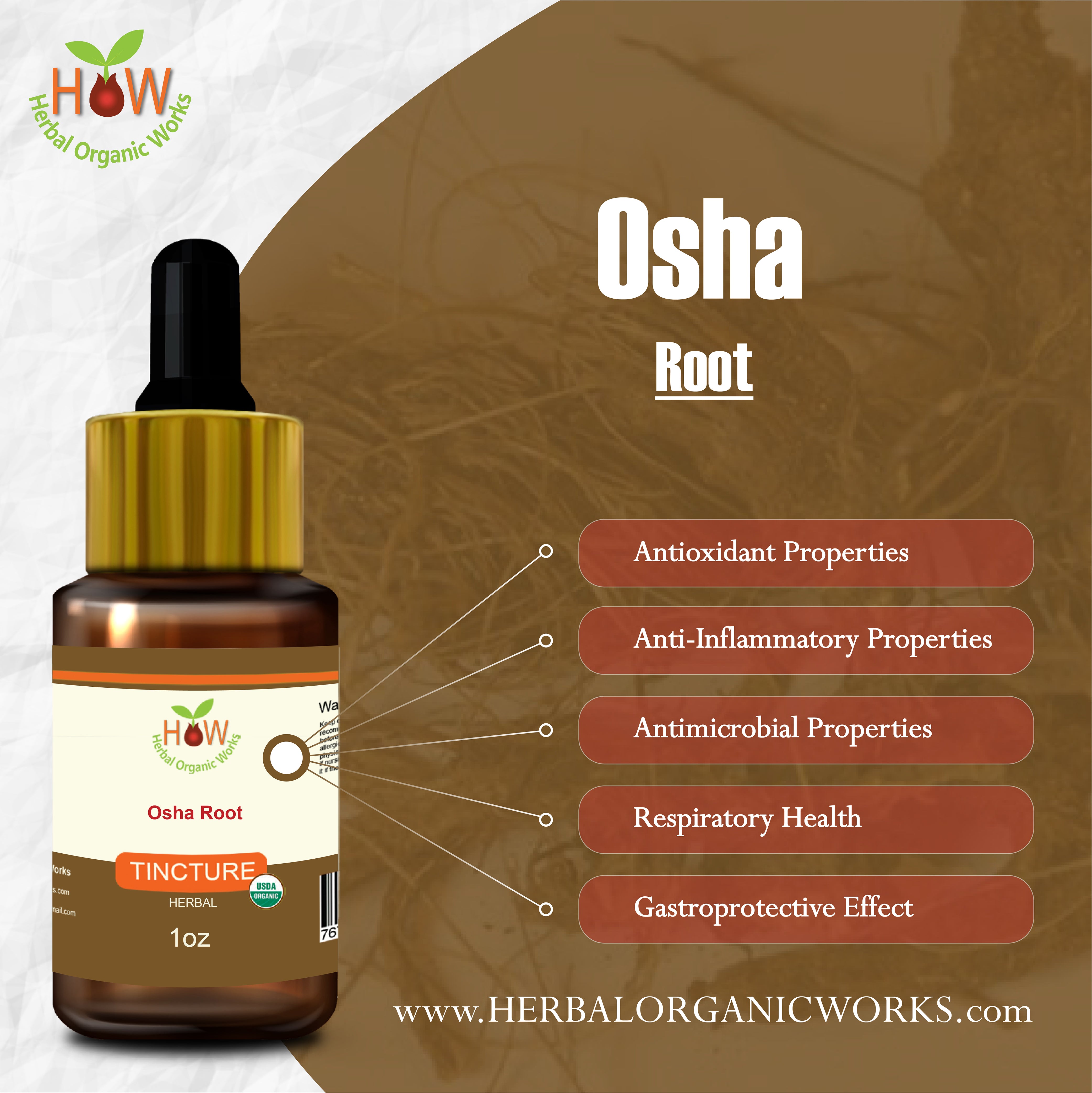 Osha Root