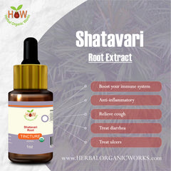 Shatavari Root