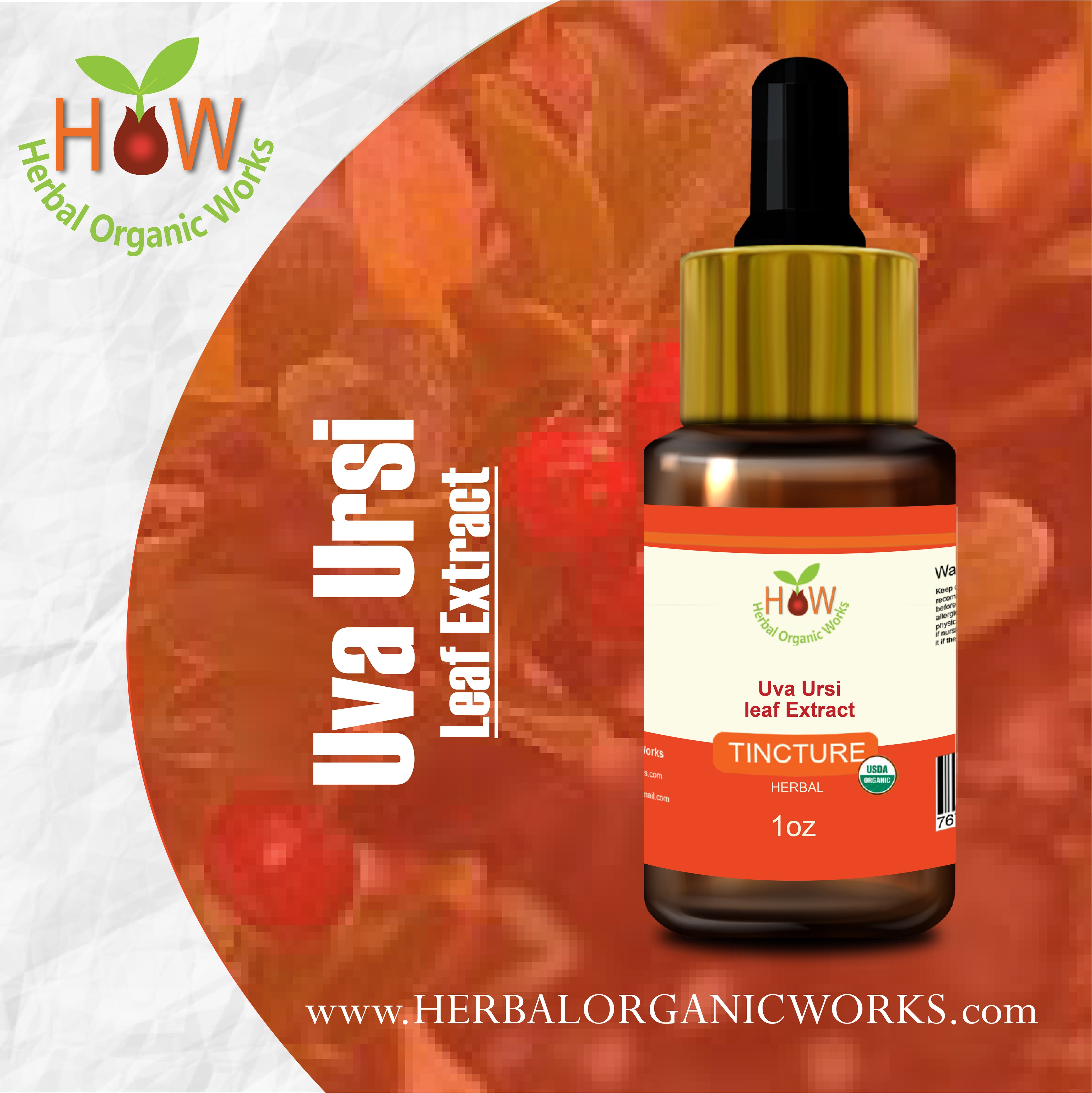 Uva Ursi Leaf Extract