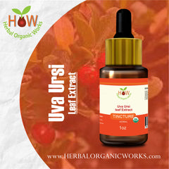 Uva Ursi Leaf Extract