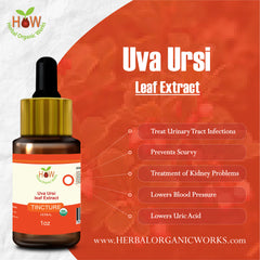 Uva Ursi Leaf Extract
