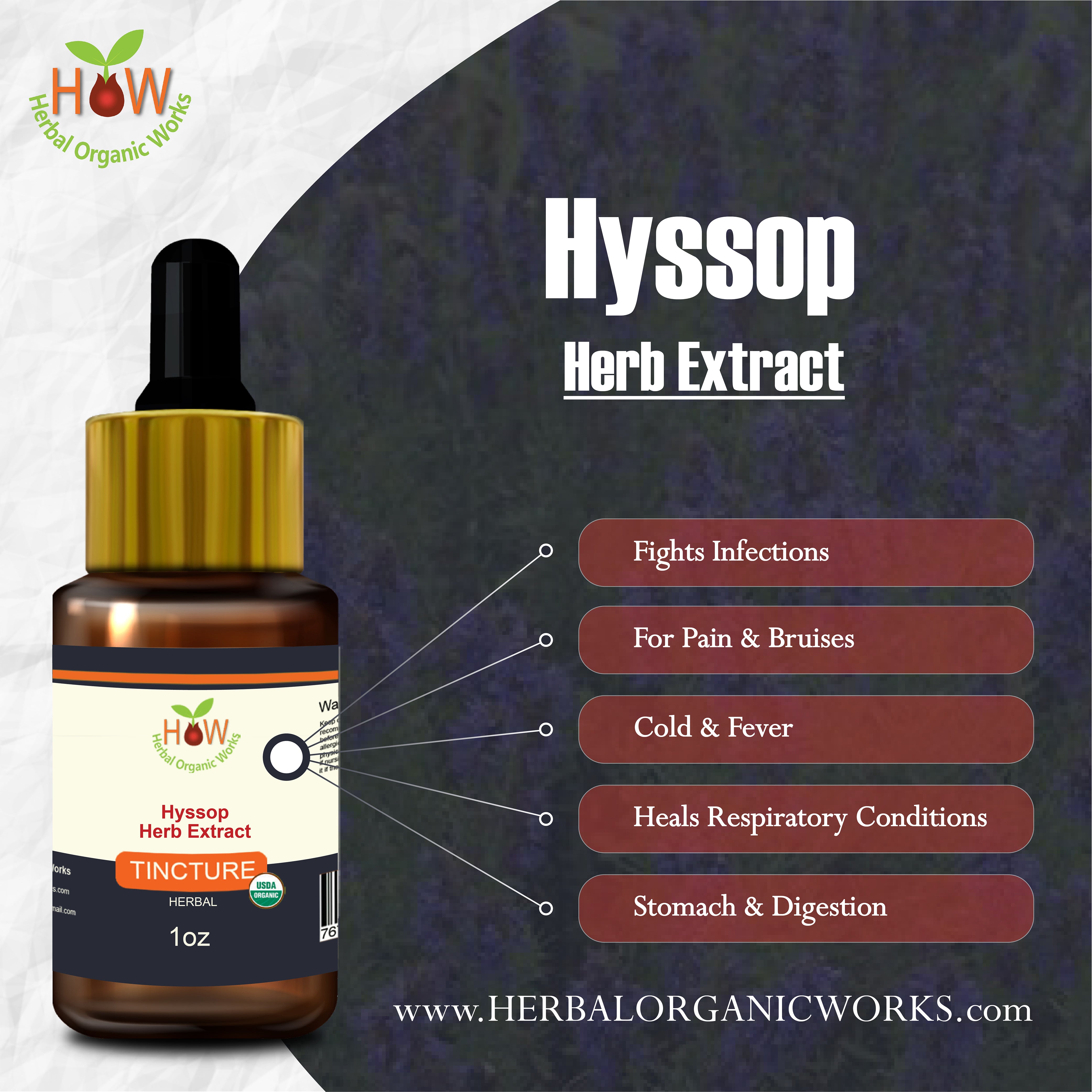 Hyssop
