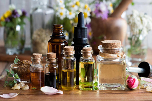 Beginner's Guide to Herbal Organic Remedies