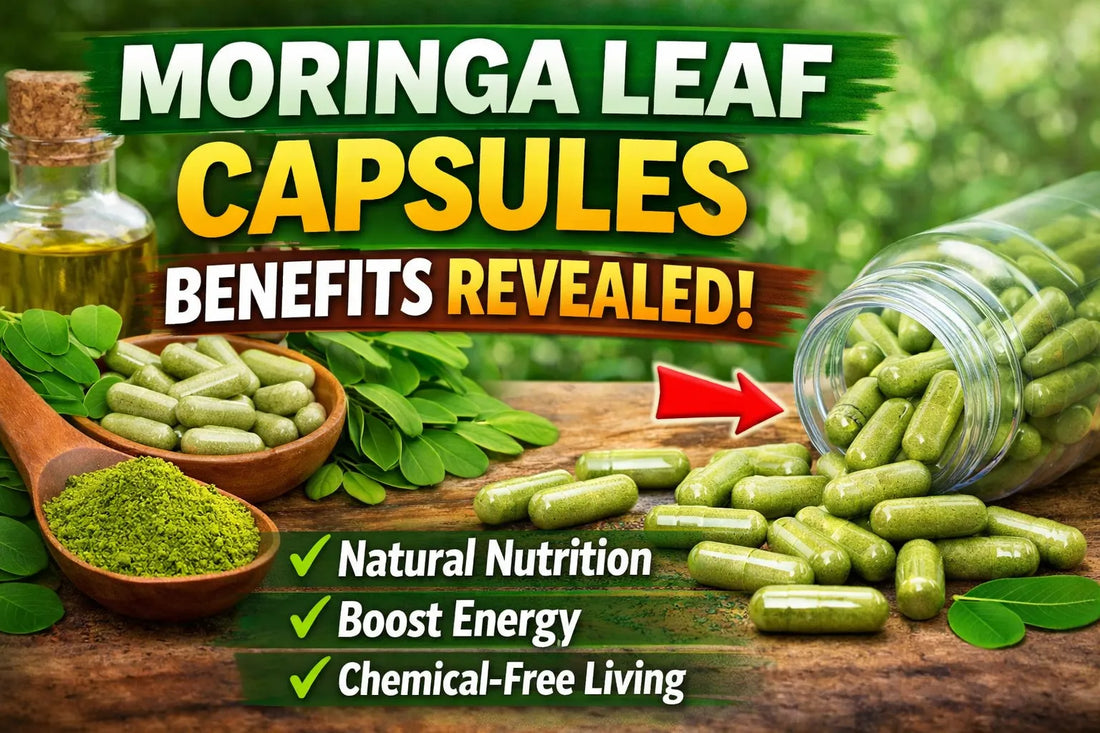moringa leaf capsules benefits