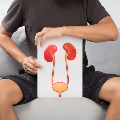 Kidney & Bladder