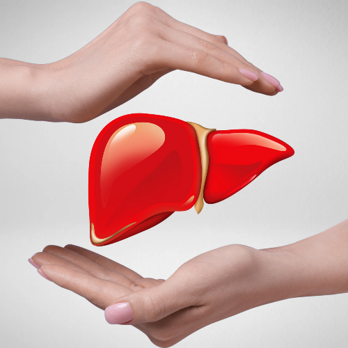 Liver Support