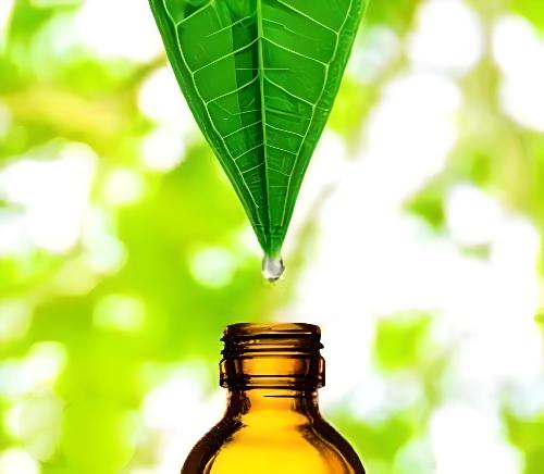 Tinctures