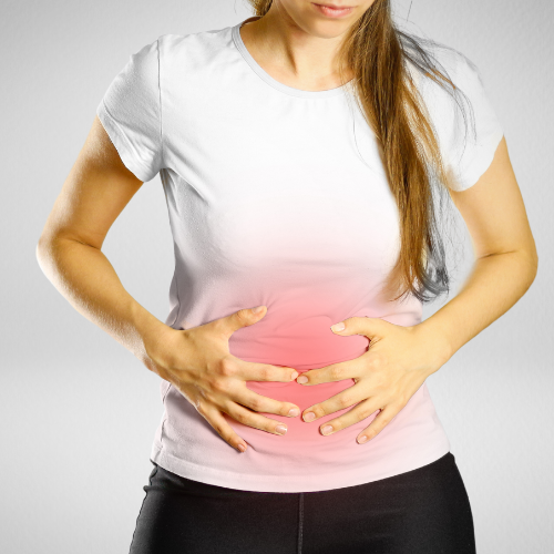 Digestion