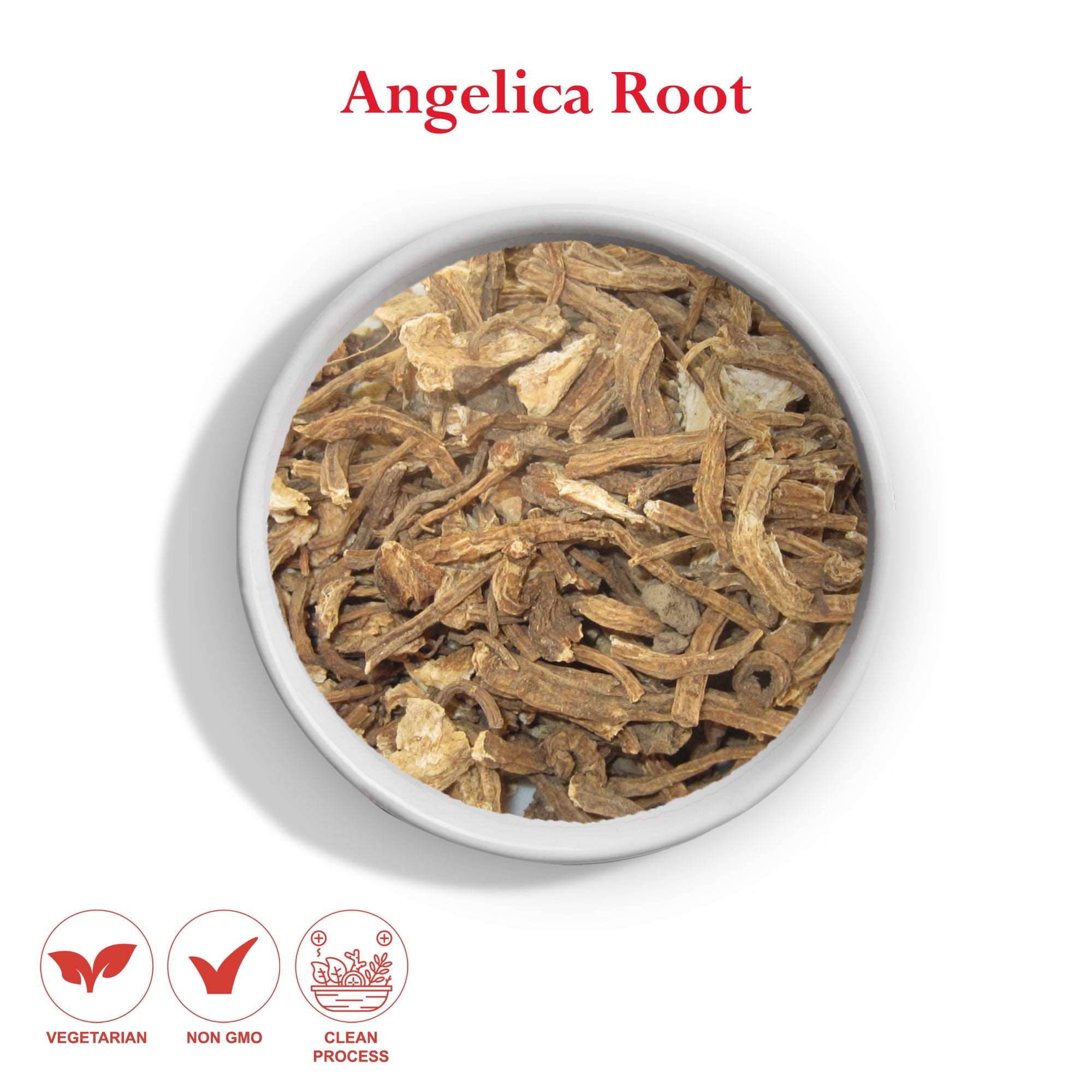 Angelica Root