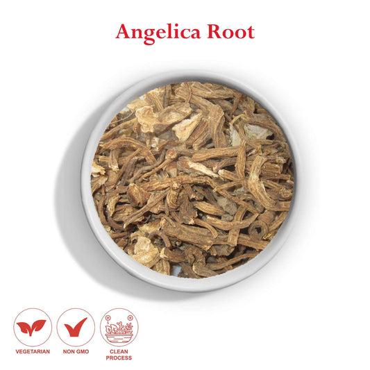 Angelica Root
