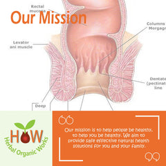 ANAL CELL STRUCTURE SUPPORT (HOW79)