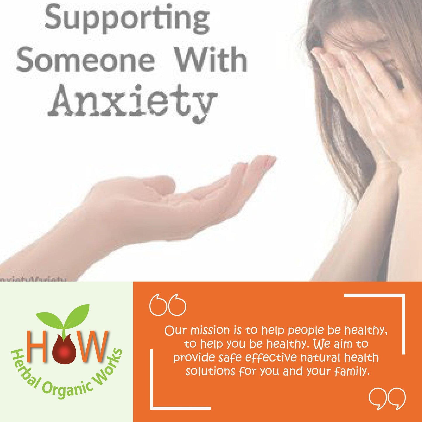 ANXIETY SUPPORT REMEDY (HOW180)