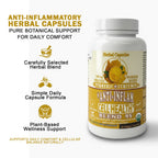 Anti-inflammatory capsules 