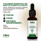 Calamus Essential Oil – Premium Herbal Oil for Hair & Skin | 1 oz