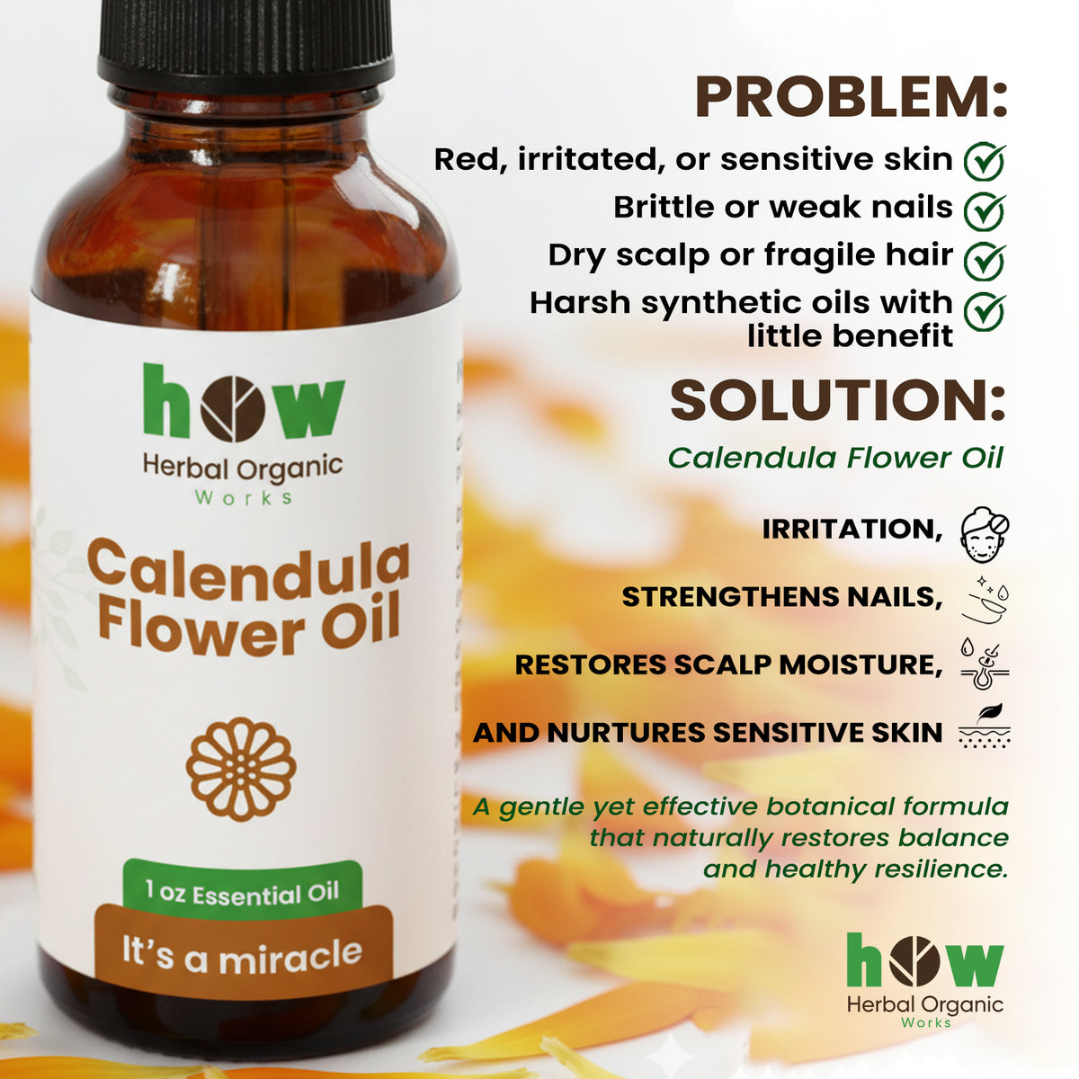 Calendula Flower Oil – 100% Pure & Natural 1 oz