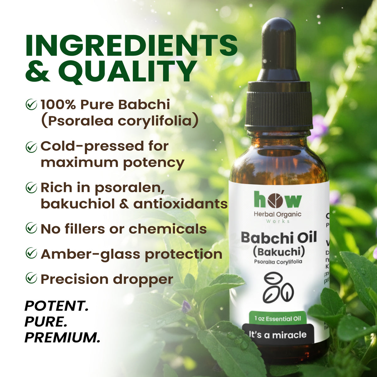 Babchi Oil – Pure Herbal Cold-Pressed for Hair & Skin | 1 oz