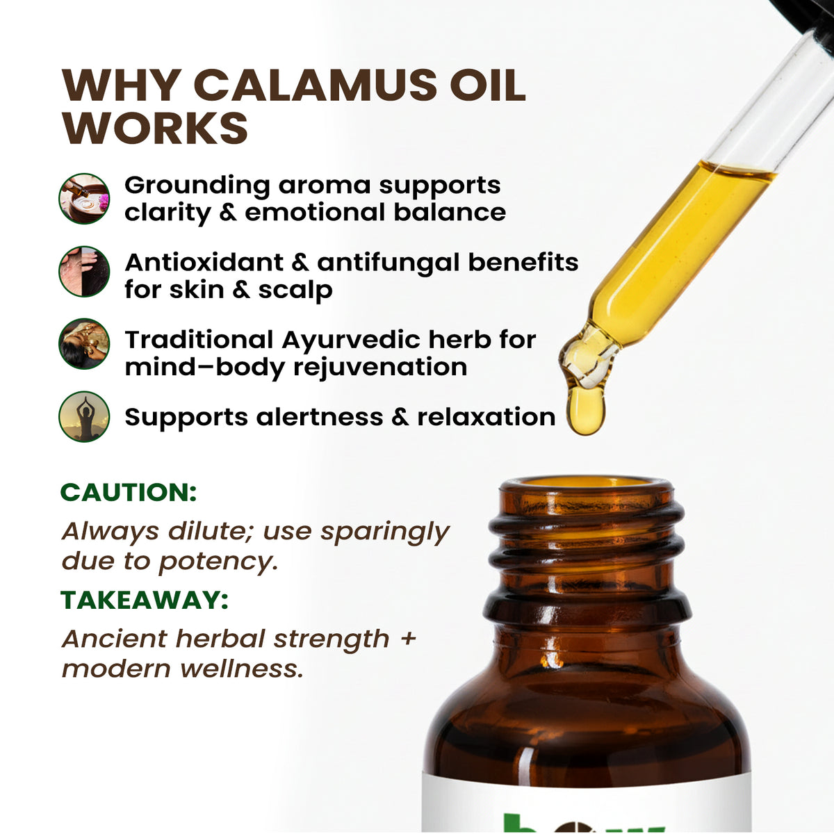 Calamus Essential Oil – Premium Herbal Oil for Hair & Skin | 1 oz