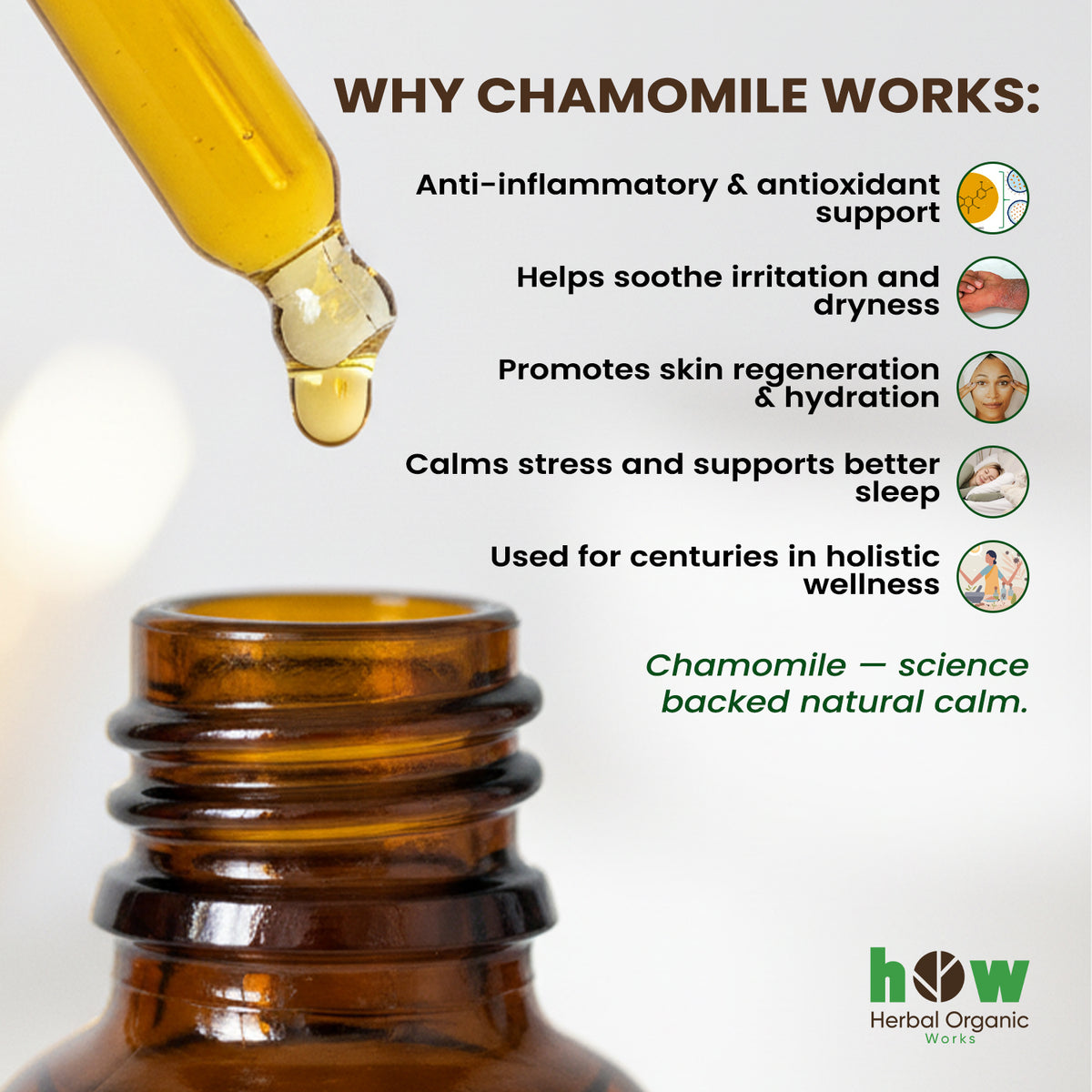 Chamomile Essential Oil – 100% Pure for Aromatherapy | 1 oz