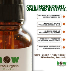 Apricot Essential Oil – Antioxidant & Vitamin E Rich Moisturizer by Herbal Organic Works | For Face, Skin & Hair