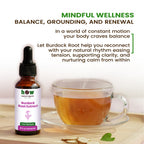 Burdock Root Extract – 100% Pure Herbal Tincture 30ml