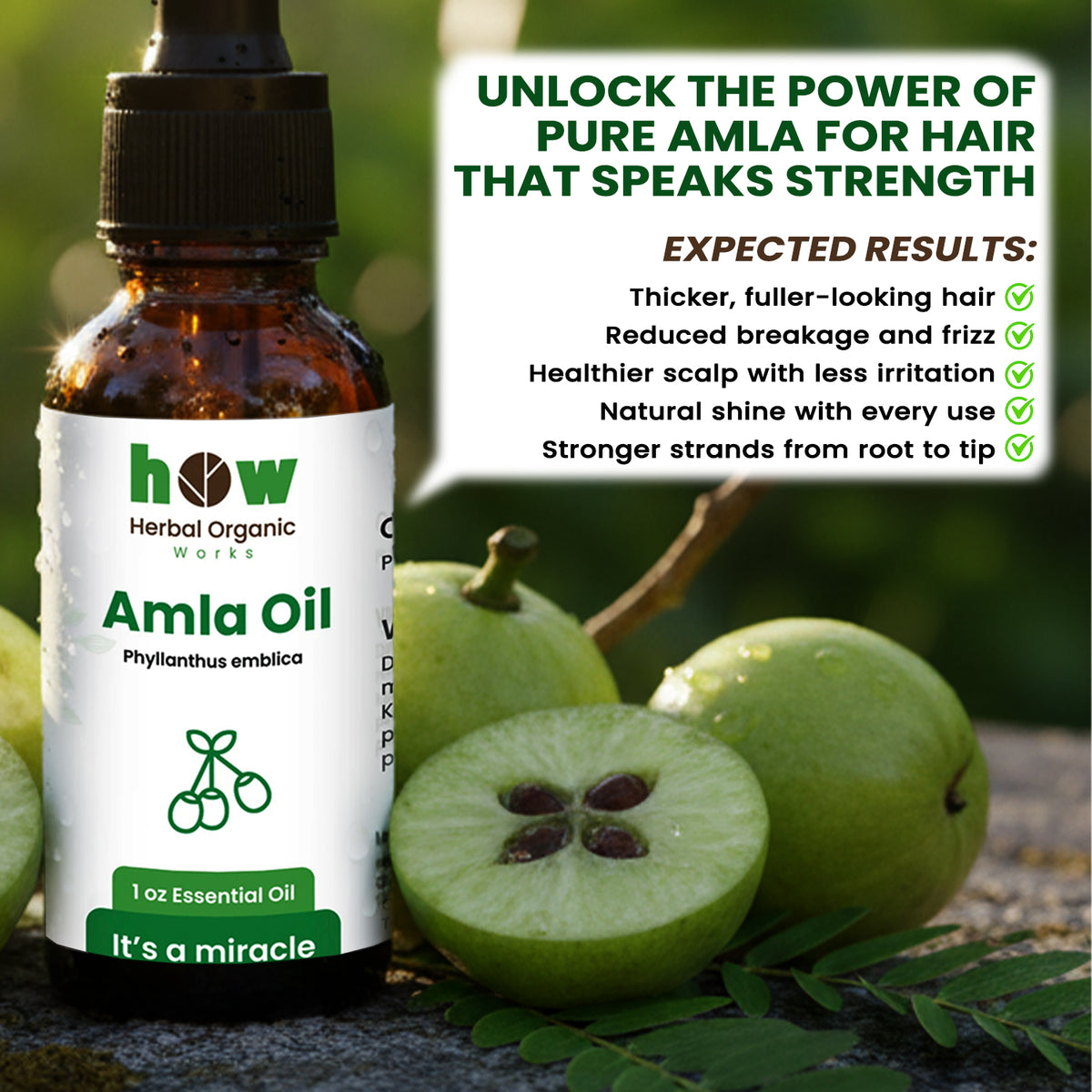 Amla Oil – 100% Pure Cold-Pressed Hair & Skin Oil | 1 oz