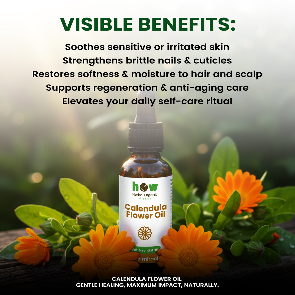 Calendula Flower Oil – 100% Pure & Natural 1 oz
