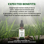 Calamus Essential Oil – Premium Herbal Oil for Hair & Skin | 1 oz
