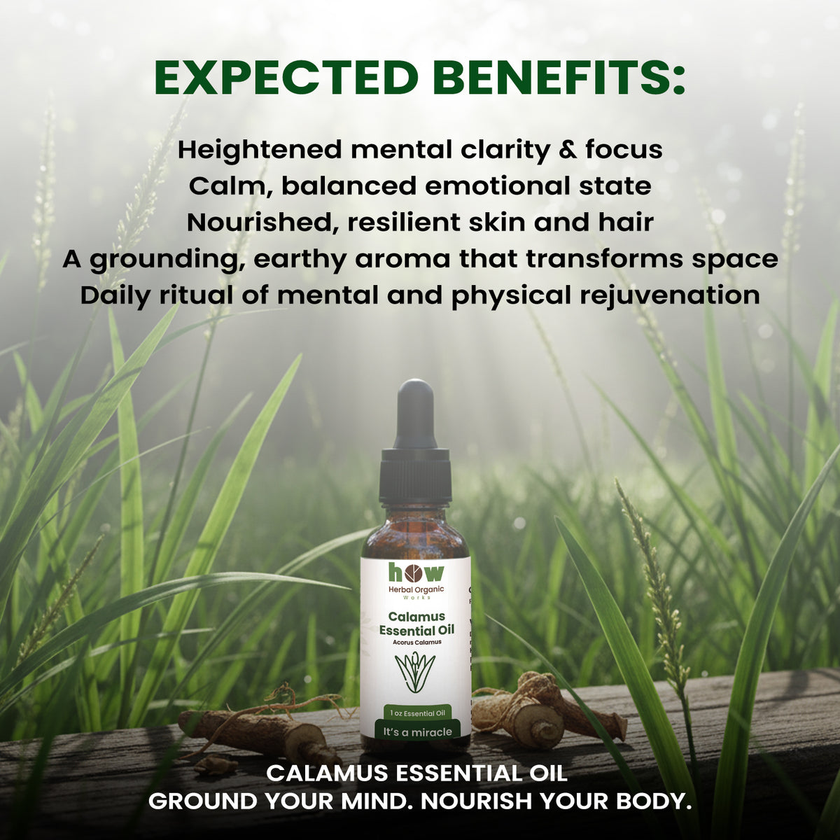 Calamus Essential Oil – Premium Herbal Oil for Hair & Skin | 1 oz