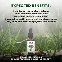 Calamus Essential Oil – Herbal Organic Works Premium Oil for Diffuser, Massage & Skincare | 1 oz Glass Bottle
