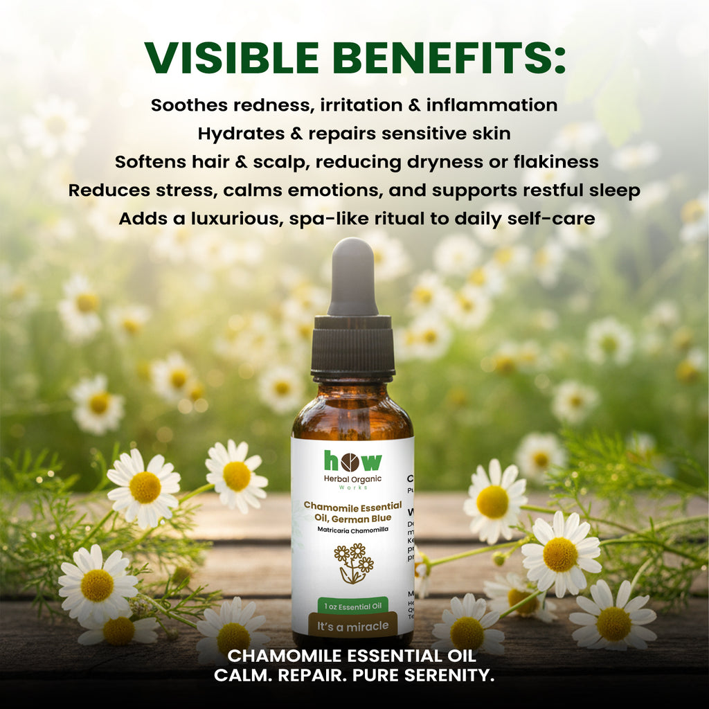 Chamomile Essential Oil – 100% Pure for Aromatherapy | 1 oz