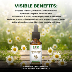 Chamomile Essential Oil – Herbal Organic Works 100% Pure Natural Oil for Diffuser & Aromatherapy | 1 oz Glass Bottle