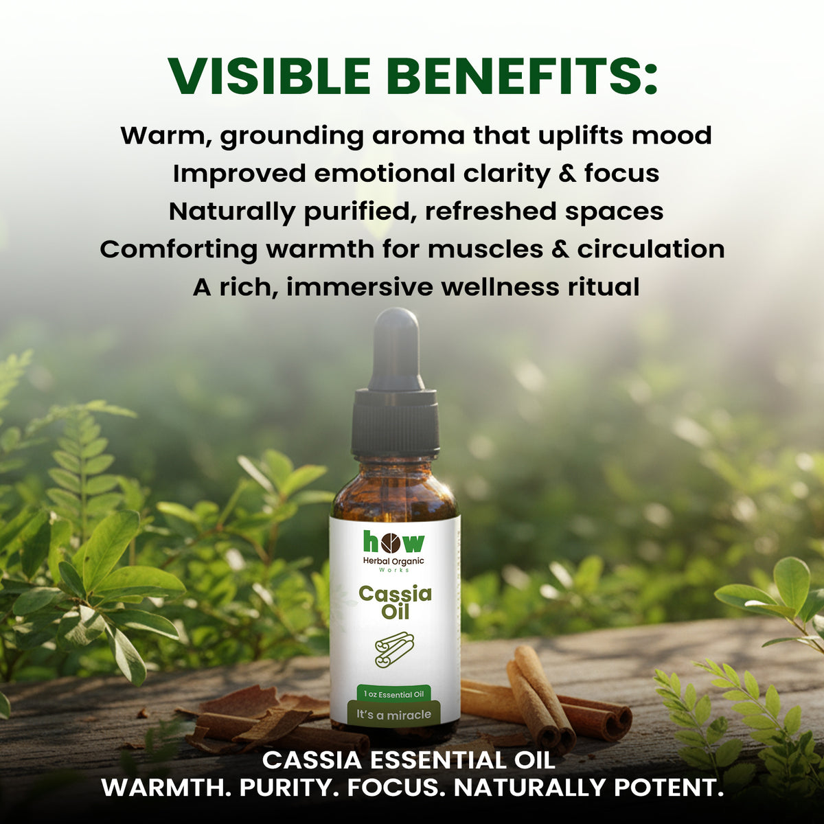 Cassia Oil – 100% Pure Essential Oil for Aromatherapy | 1 oz